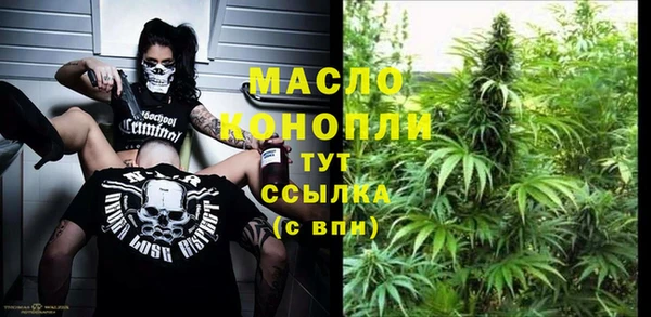 гидропоника Горнозаводск