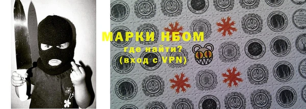 гидропоника Горнозаводск