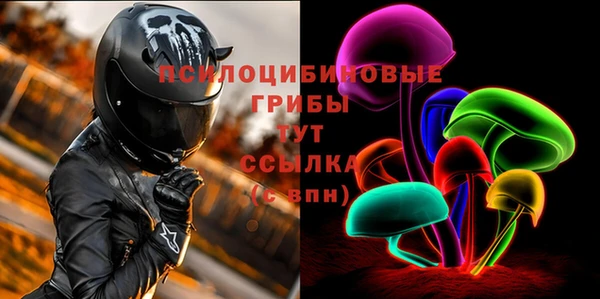 гидропоника Горнозаводск