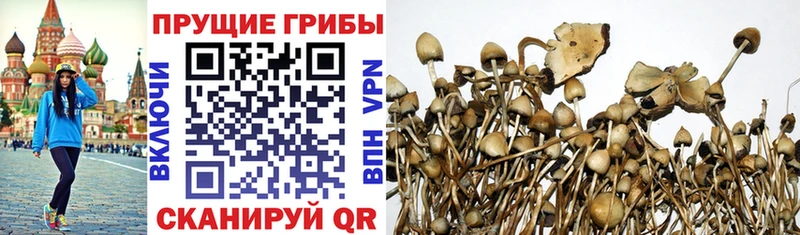 Галлюциногенные грибы мухоморы  Купить  Реж 